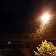 白蟻危害大，4-6月份進(jìn)入其活躍期 防治白蟻不容忽視！